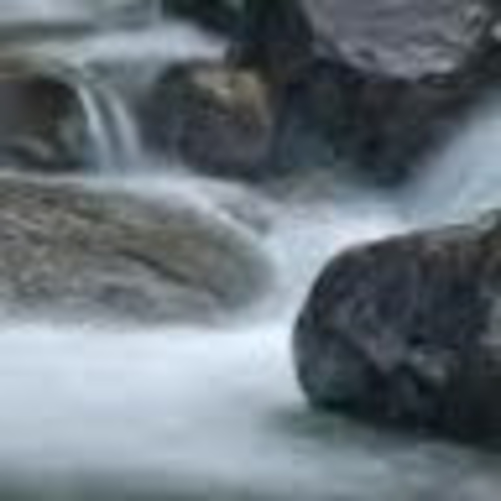 Meet your Posher, Brie